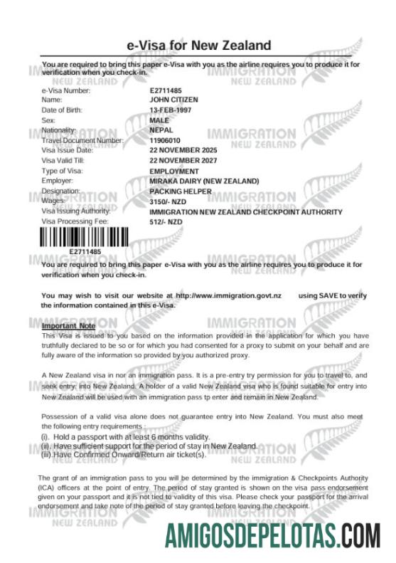 realista Modelo de visto E da Nova Zelândia em formatos Word e PDF, versão 2